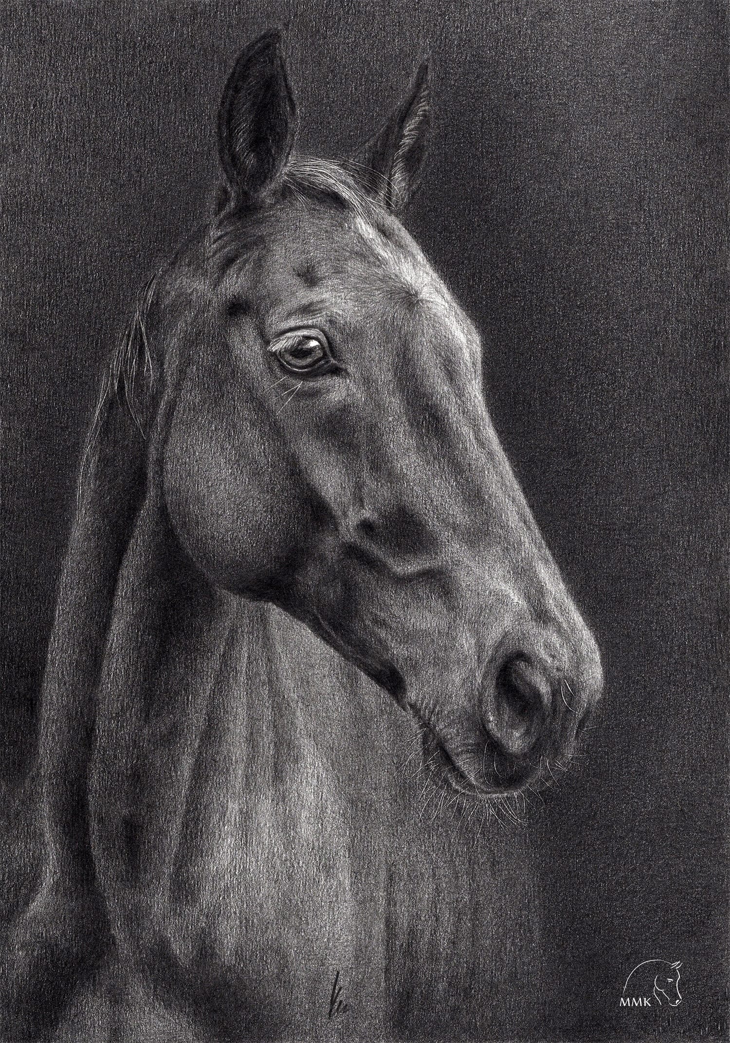 Featured image for “Cote d’Ivoire”