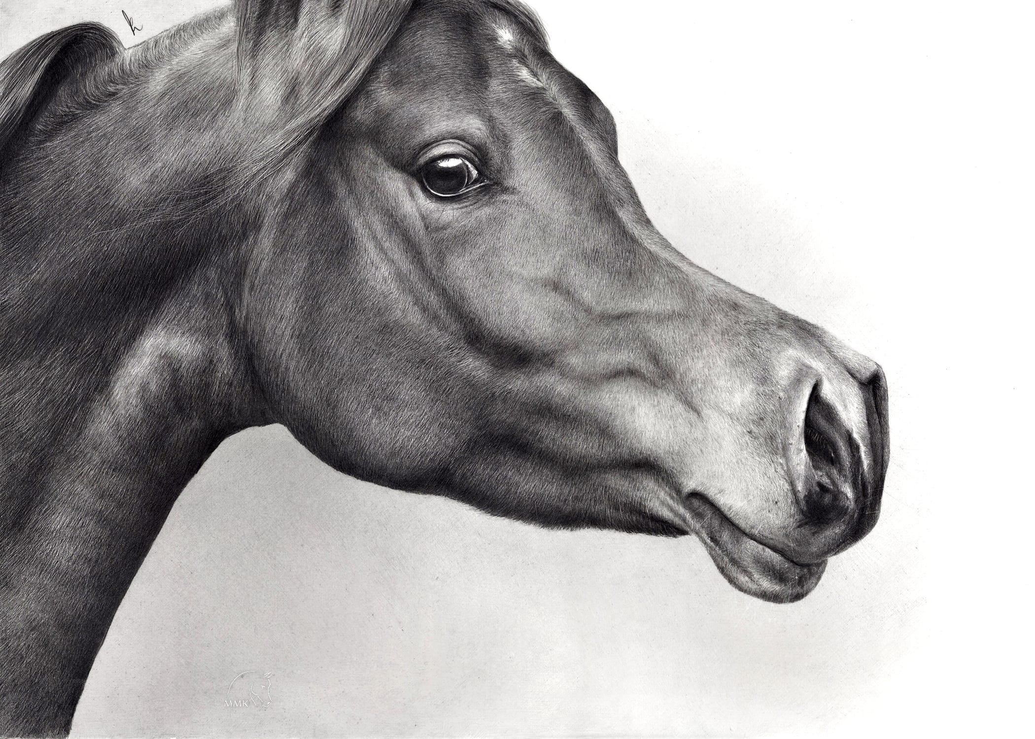 Featured image for “Rihana Mia”