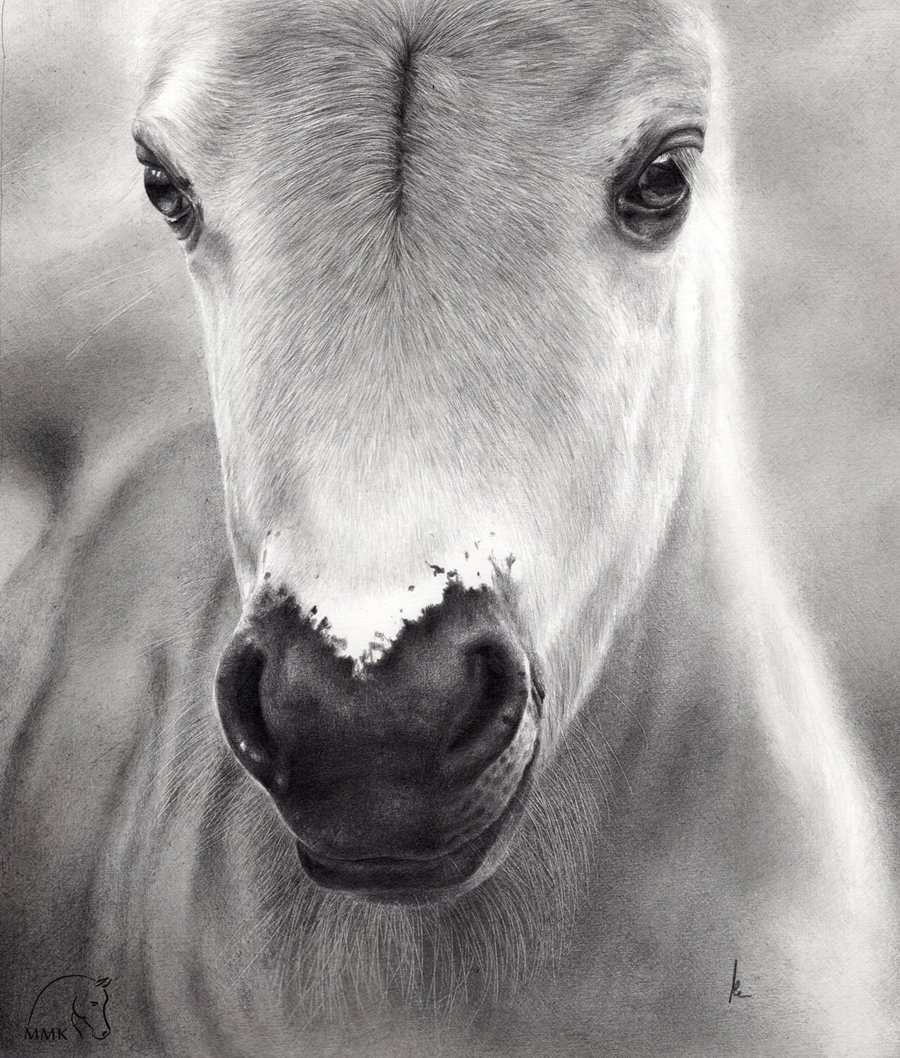 Featured image for “Źrebię szetlanda miniaturowego”