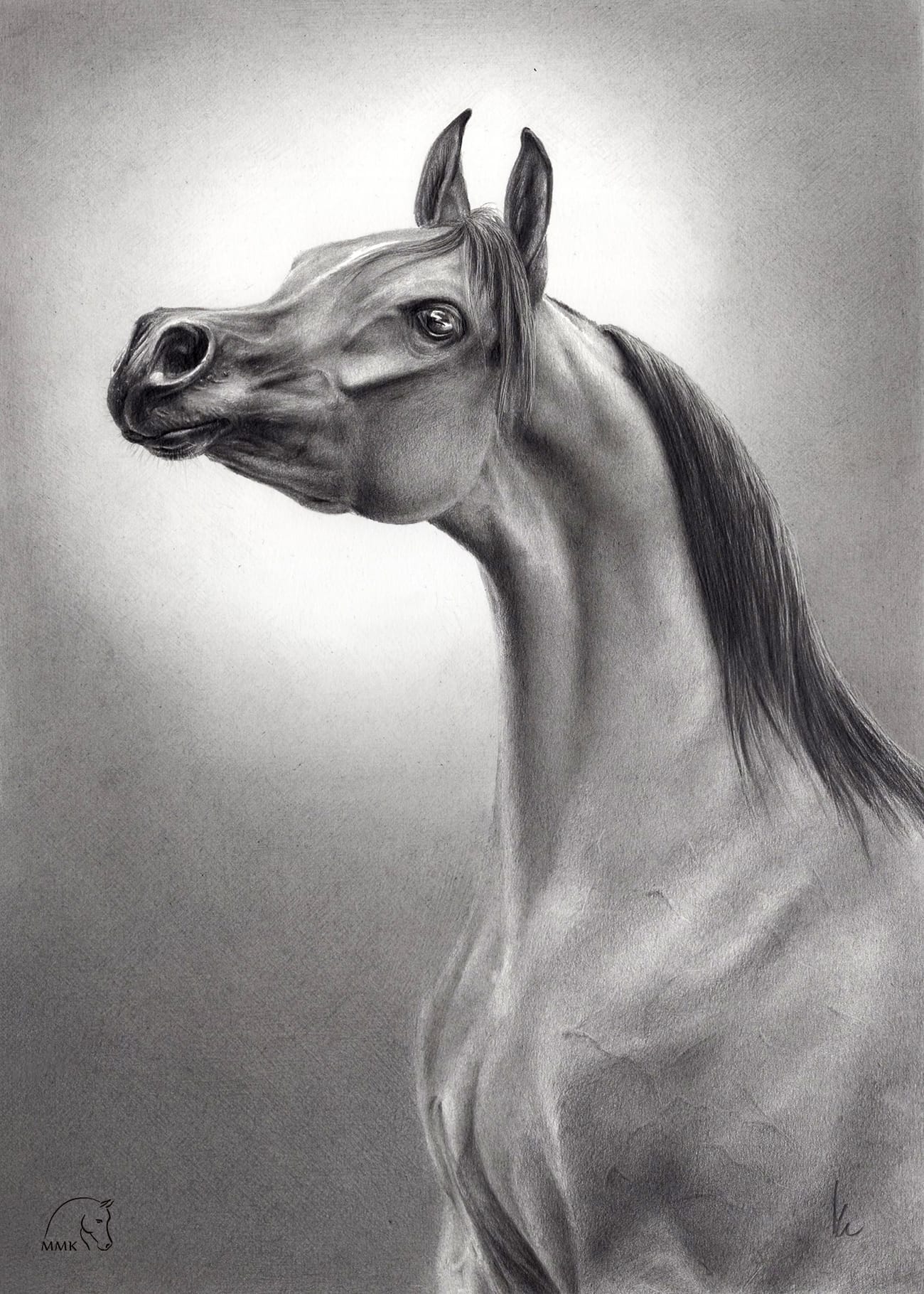 Featured image for “El Siena”