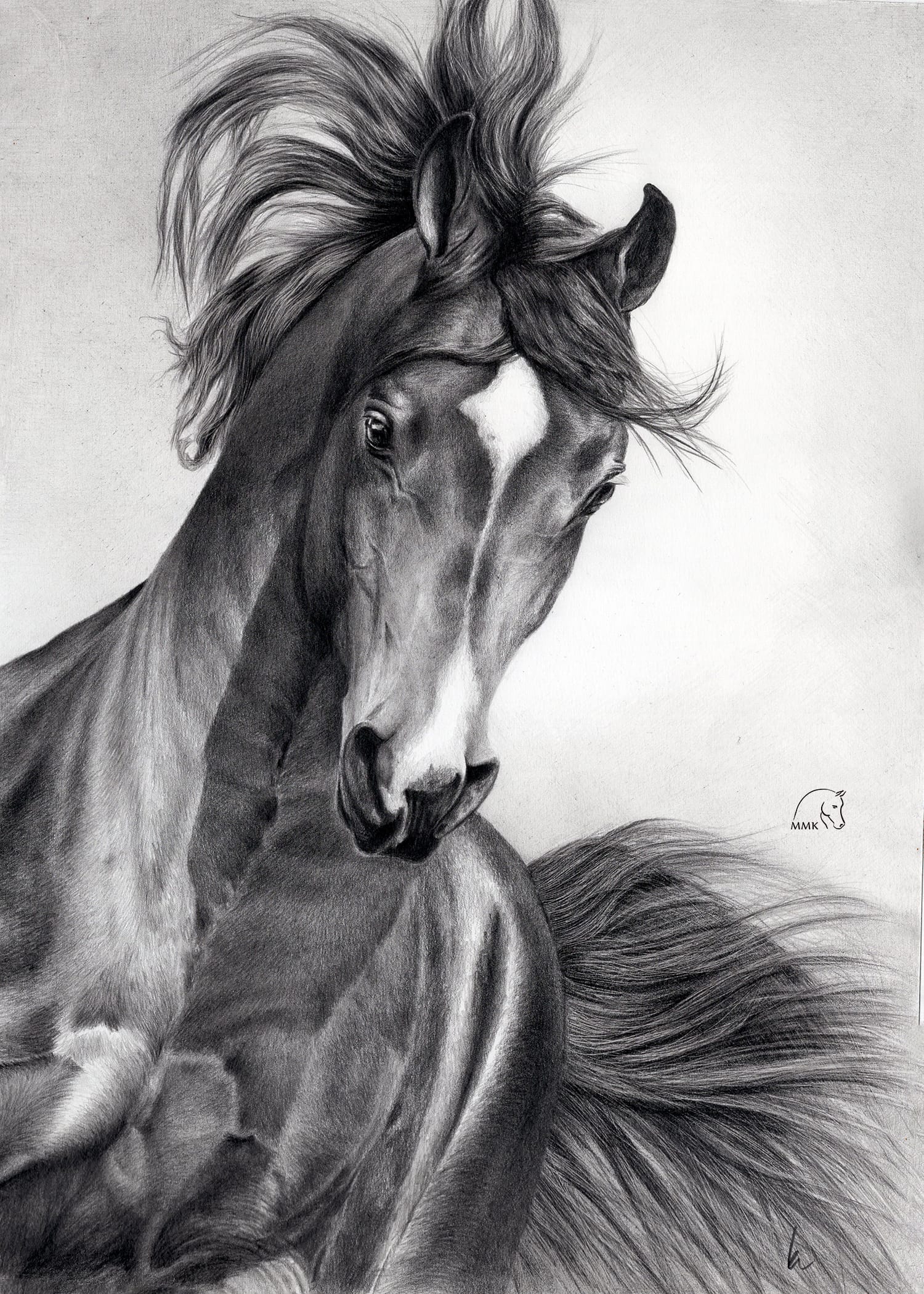 Ames JR po raz drugi