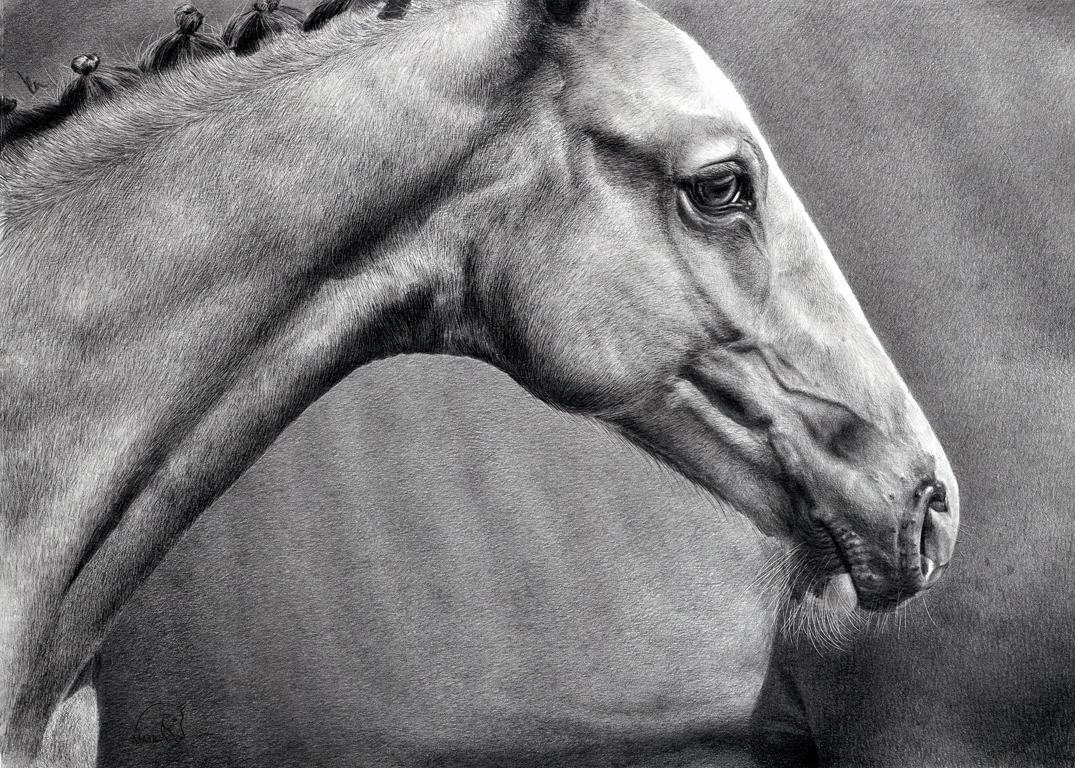 Featured image for “Iceman”