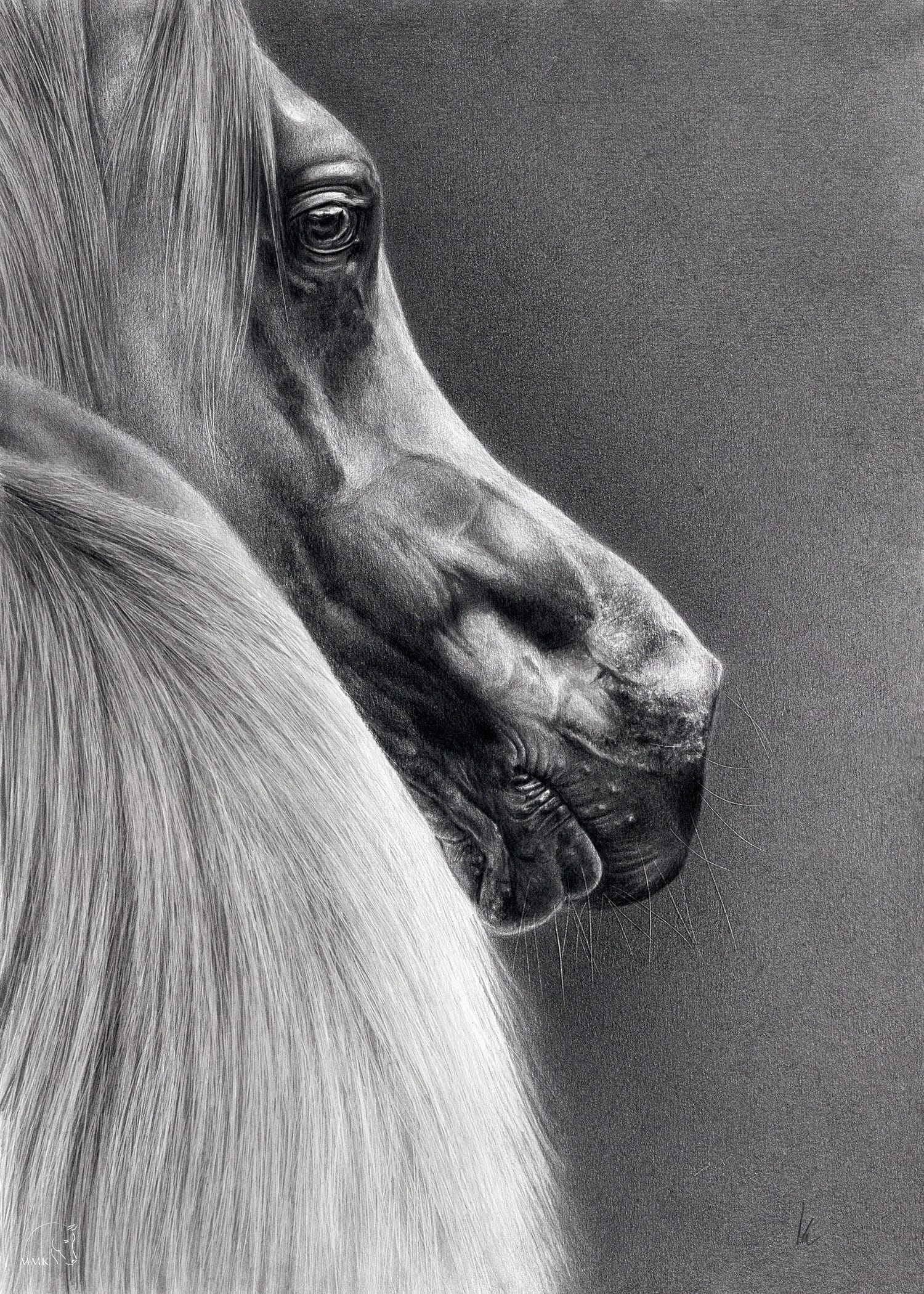 Featured image for “Ekarosa”